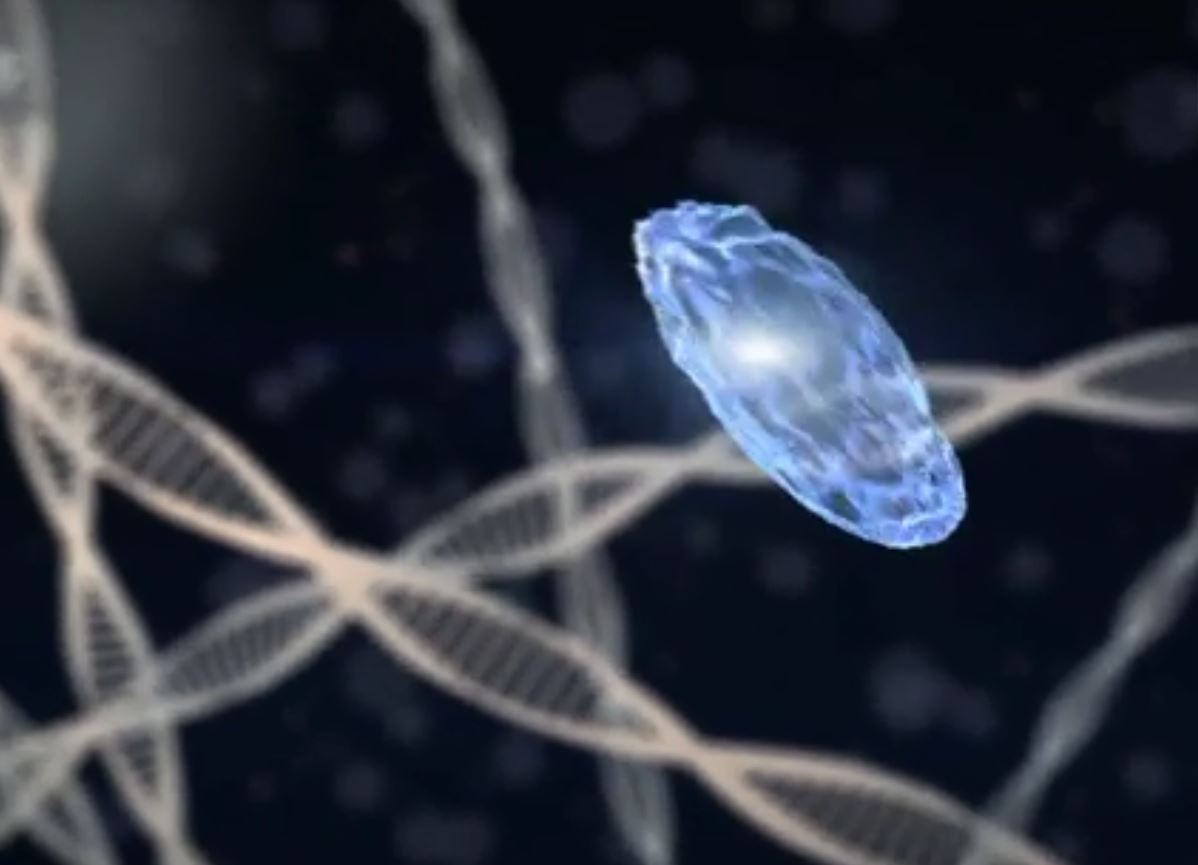 Νέα πειραματική αντι-ιική θεραπεία «χτυπά» κατευθείαν στον στόχο