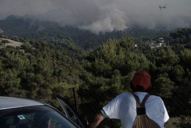 Fire destroys over 4,000 acres of forest and houses in Corinth – Attica | tovima.gr