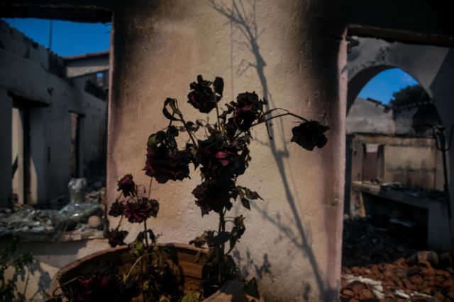 Μαίνεται η φωτιά στην Κορινθία: Διάσπαρτες εστίες – Τεράστια οικολογική καταστροφή | tovima.gr