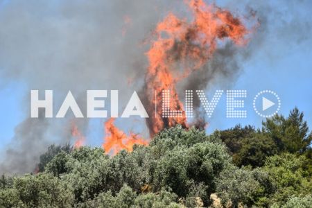 Φωτιά στον Πύργο: Καίει δασική έκταση