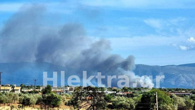 Συναγερμός στην Πυροσβεστική – Μεγάλη φωτιά στα Ίσθμια | tovima.gr