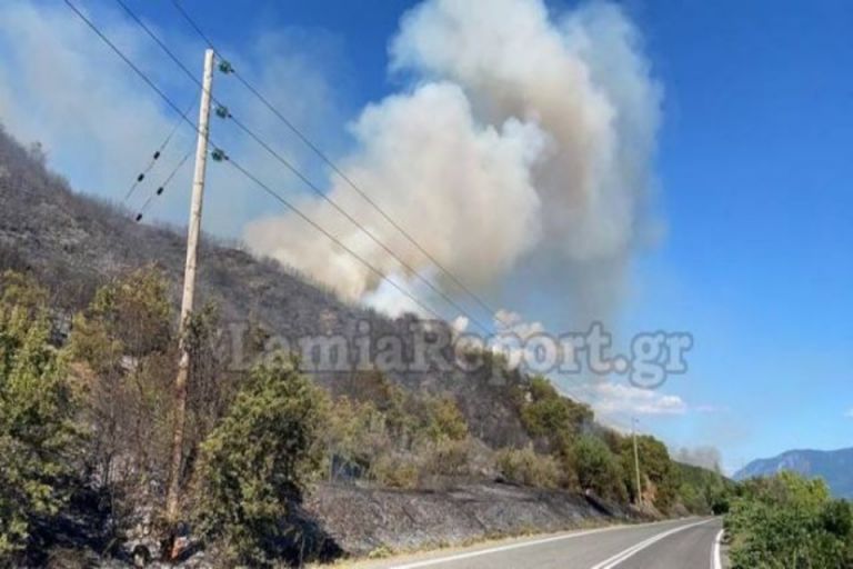 Φωτιά στην Μακρακώμη Φθιώτιδας – Κοντά σε χωριό | tovima.gr