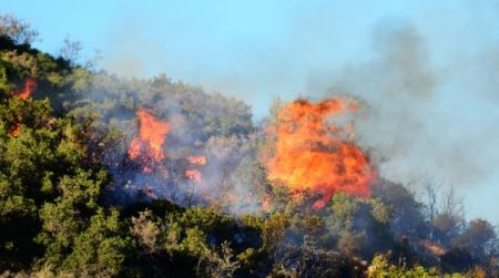 Πυρκαγιά σε δασική έκταση στα Μέγαρα – Επιχειρούν ισχυρές δυνάμεις της Πυροσβεστικής