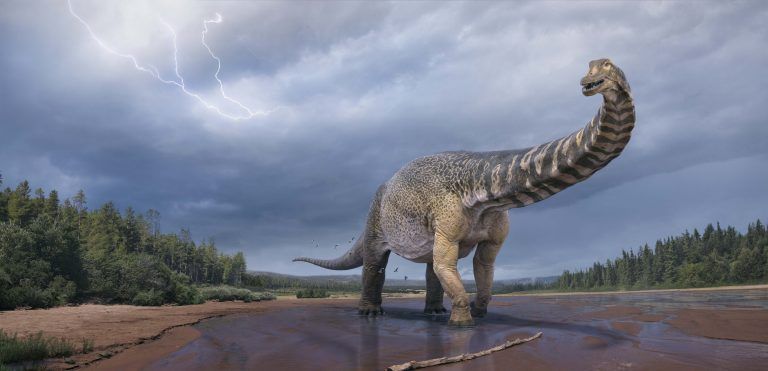 Ανακάλυψαν ίχνη του δεινόσαυρου «Αυστραλοτιτάνα» – Είχε μέγεθος γηπέδου μπάσκετ και ύψος δύο ορόφων | tovima.gr