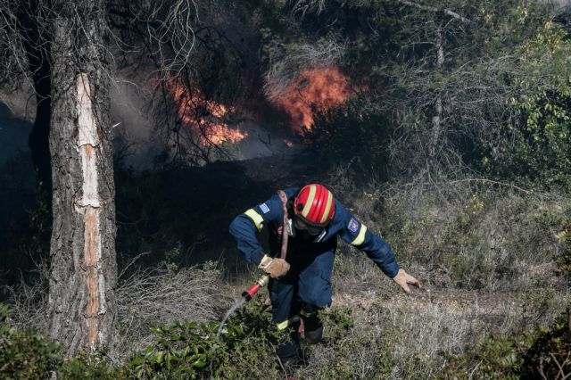 Εύβοια: Μεγάλη φωτιά μεταξύ Πηλίου – Μαντουδίου