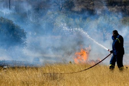 Ηλεία: Πυρκαγιά σε δασική έκταση κοντά στην Κυανή Ακτή