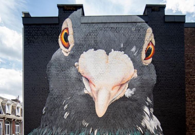 Τα περιστέρια της Adele Renault δεν είναι ενοχλητικά