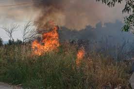 Κρήτη: Φωτιά σε χορτολιβαδική έκταση κοντά στο πεδίο βολής Γουβών στην Κρήτη