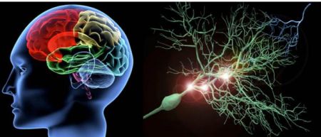 Κορωνοϊός: Οι βλάβες στον εγκέφαλο παραπέμπουν σε Αλτσχάιμερ και Πάρκινσον