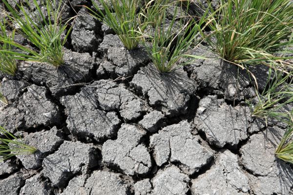 ΟΗΕ: Η ανθρωπότητα στα πρόθυρα των κατακλυσμιαίων επιπτώσεων της κλιματικής αλλαγής