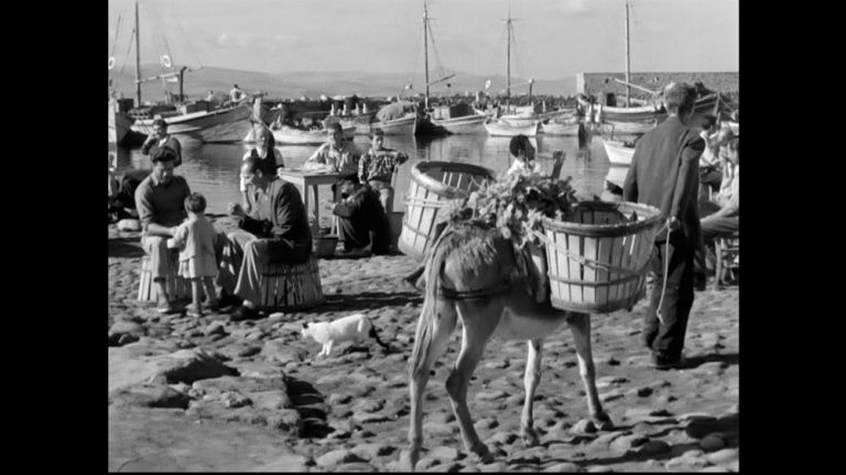 Ψαράδες και… σαπίλα – Σπάνιες ταινίες σε ειδική προβολή | tovima.gr
