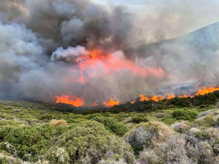 Φωτιά ΤΩΡΑ στη Μονεμβασιά – Στη μάχη και εναέρια μέσα