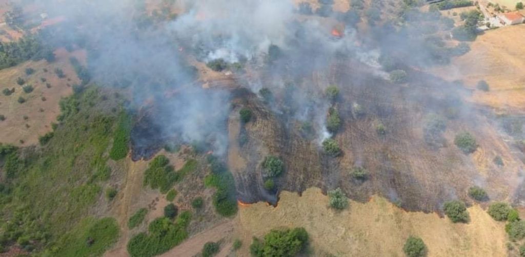 Πύρινα μέτωπα : Υπό έλεγχο η φωτιά στον Ωρωπό – Ενισχύονται οι δυνάμεις στην Κεφαλονιά