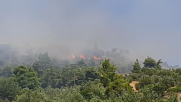Εύβοια: Συναγερμός για πυρκαγιά στη Ριτσώνα | tovima.gr