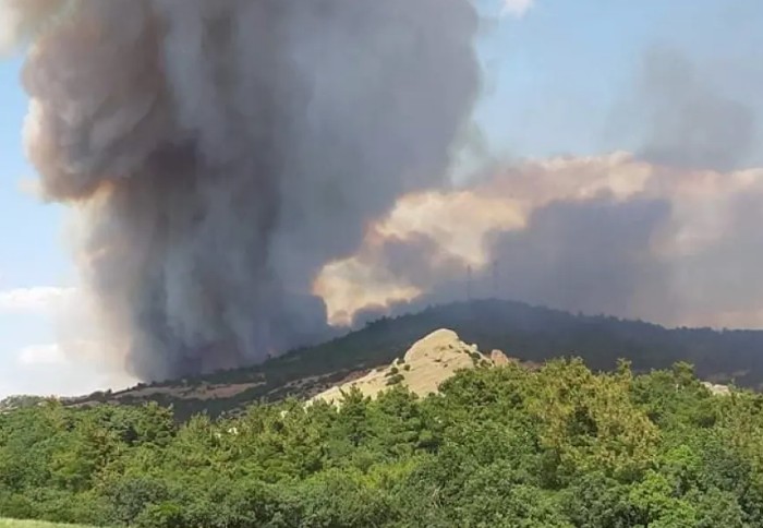 Φωτιά στον Έβρο: Σηκώθηκαν ξανά τα εναέρια μέσα – Καλύτερη η εικόνα στη Λευκίμμη