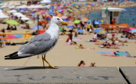 Ισπανία: Στους 44 βαθμούς την Κυριακή το θερμόμετρο