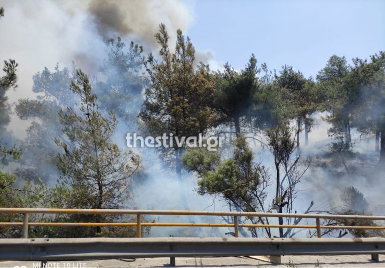 Θεσσαλονίκη: Φωτιά στο Σέιχ Σου – Συναγερμός στην Πυροσβεστική | tovima.gr