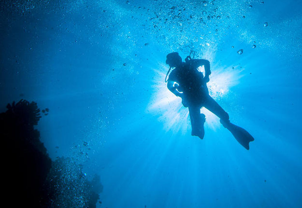 Diving tourism council formed