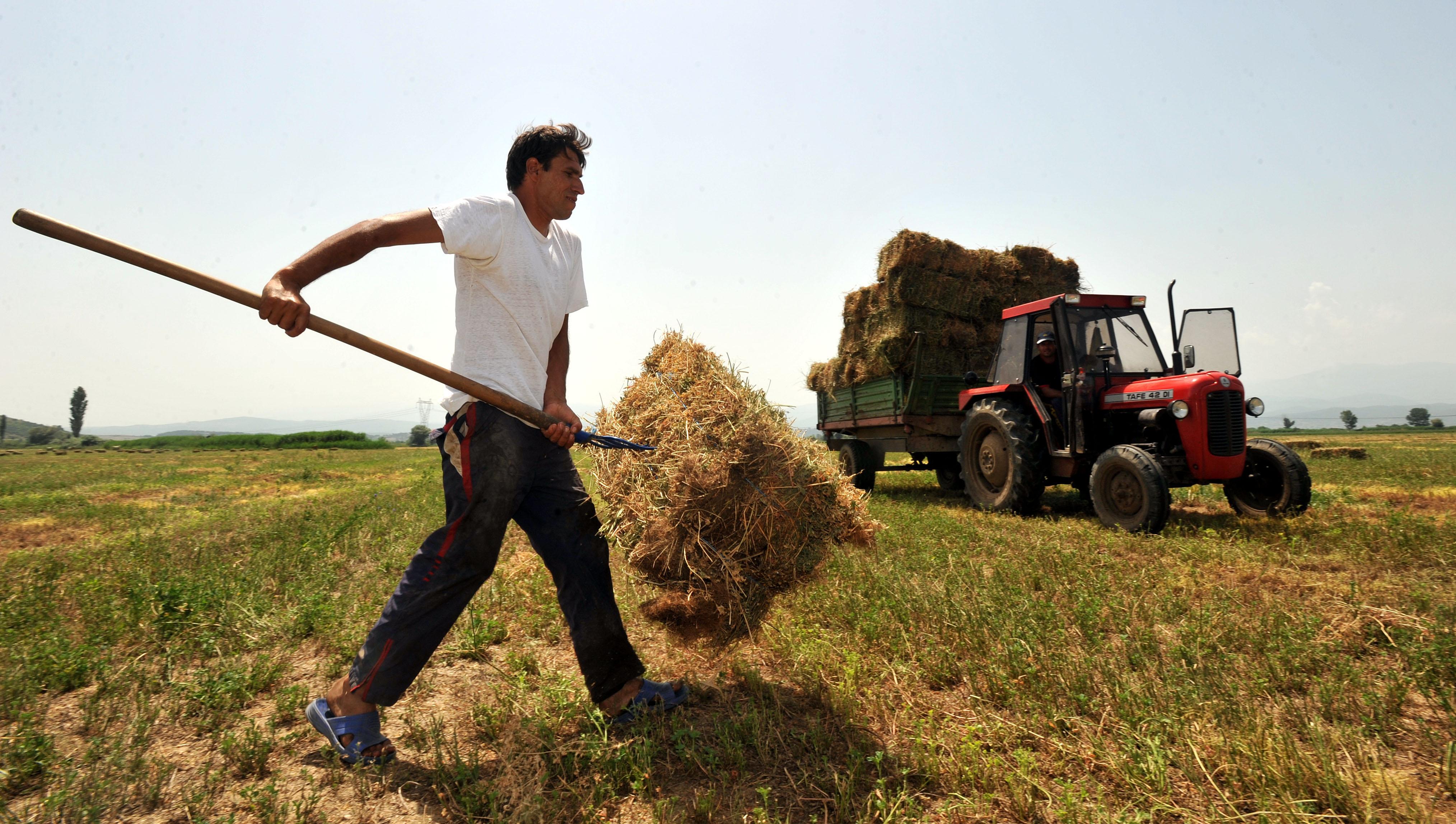 e-ΕΦΚΑ: Ποιες είναι οι 11 ηλεκτρονικές υπηρεσίες προς τους αγρότες