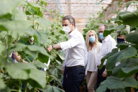 Μητσοτάκης από Μεσσηνία: Να συνδέσουμε τον πρωτογενή τομέα με την ανάπτυξη της περιοχής