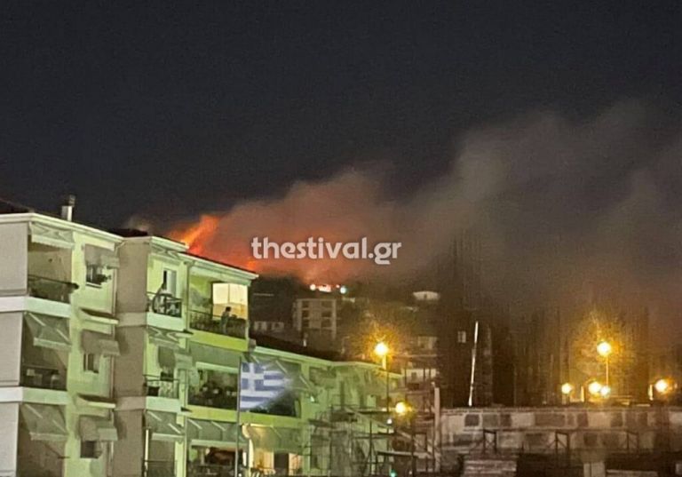 Φωτιά στη Νέα Ευκαρπία – Σε συναγερμό η Πυροσβεστική | tovima.gr