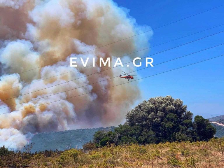 Φωτιά στην Εύβοια: Διπλό μέτωπο στα Πολιτικά | tovima.gr