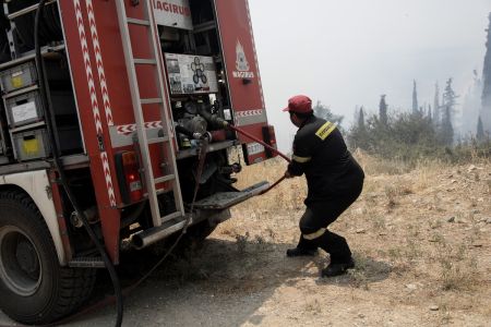 Κορινθία: Πυρκαγιά στο Καλέντζι