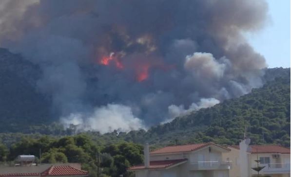 Φωτιά στην Άνω Αλμυρή Κορινθίας: Καλύτερη η εικόνα από το μέτωπο | tovima.gr