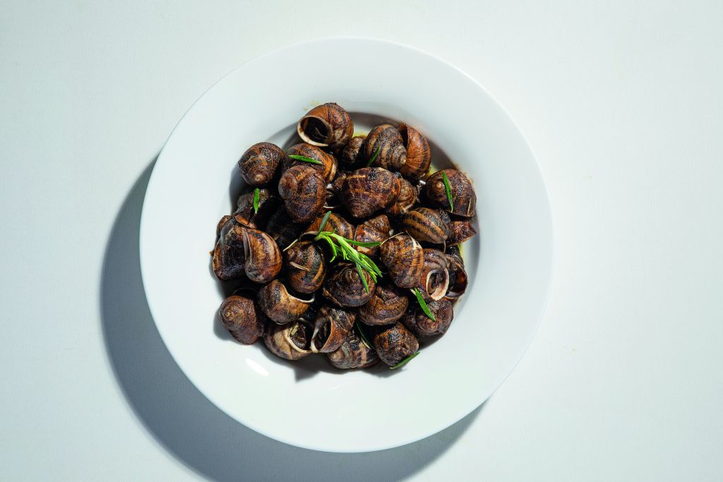 Χοχλιοί μπουμπουριστοί