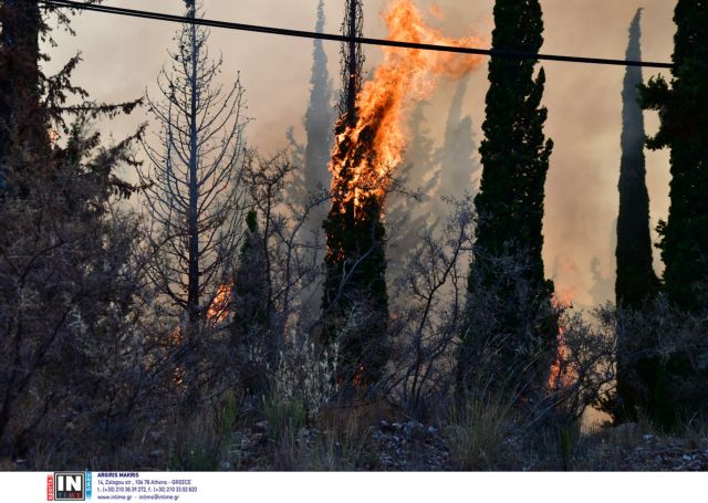 Φωτιά στην Αχαΐα: Ολονύχτια μάχη με τις πύρινες φλόγες – Σε εγρήγορση η Πυροσβεστική | tovima.gr