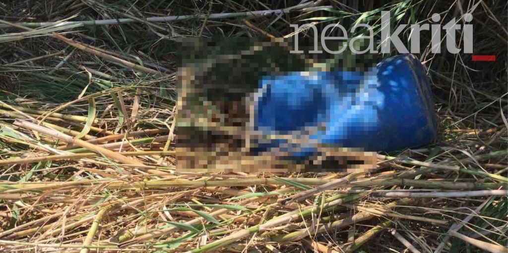 Ρέθυμνο: Θρίλερ με το πτώμα στο βαρέλι – Ανατριχιαστικά στοιχεία από τον ιατροδικαστή