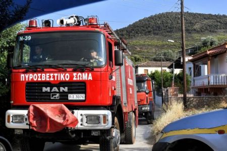 Φωτιά σε δασική έκταση στον Αλμυρό Μαγνησίας