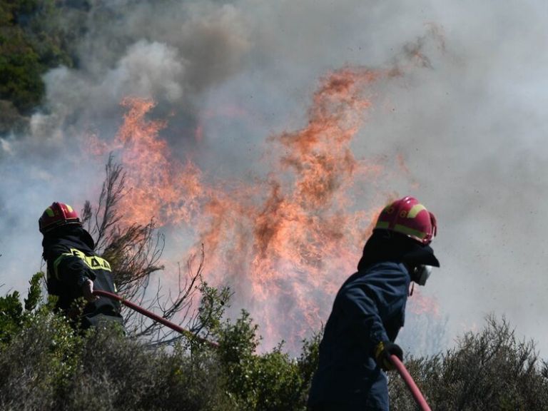 Βόνιτσα – Καλύτερη εικόνα παρουσιάζει η φωτιά στην περιοχή Θυρίου | tovima.gr