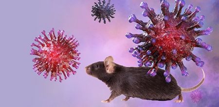 Εμβόλιο κατά του κορωνοϊού από τη μύτη σε μια δόση