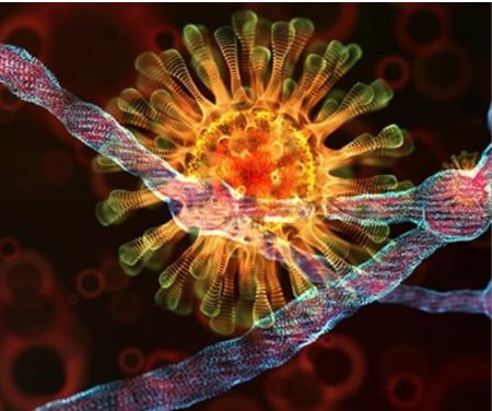 Ο κορωνοϊός δεν ενσωματώνεται στο DNA μας τελικά – Τι δείχνει μελέτη