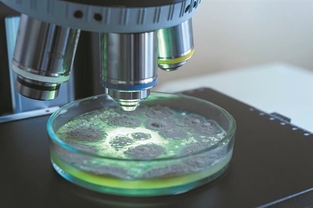 Ο χάρτης του αστικού μικροβιώματος