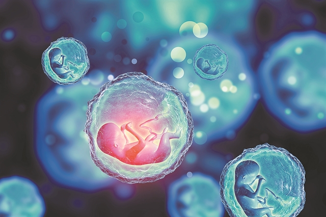 Κρυοσυντήρηση και δωρεά ωαρίων: Τα νέα δεδομένα την εποχή της πανδημίας