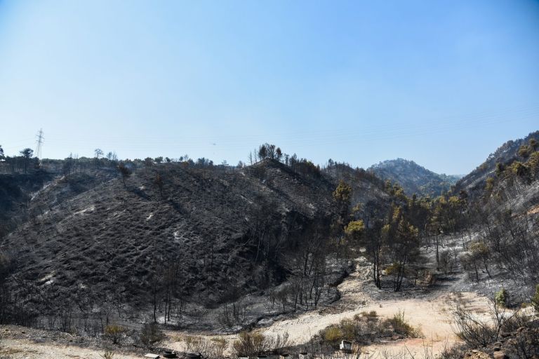 Φωτιά στην Αχαΐα – Πάνω από τρεις χιλιάδες στρέμματα καμένα σύμφωνα με το Meteo | tovima.gr