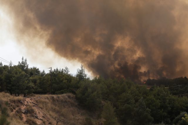 Ανεξέλεγκτη η φωτιά στην Κω – Εκκενώνονται περιοχές | tovima.gr