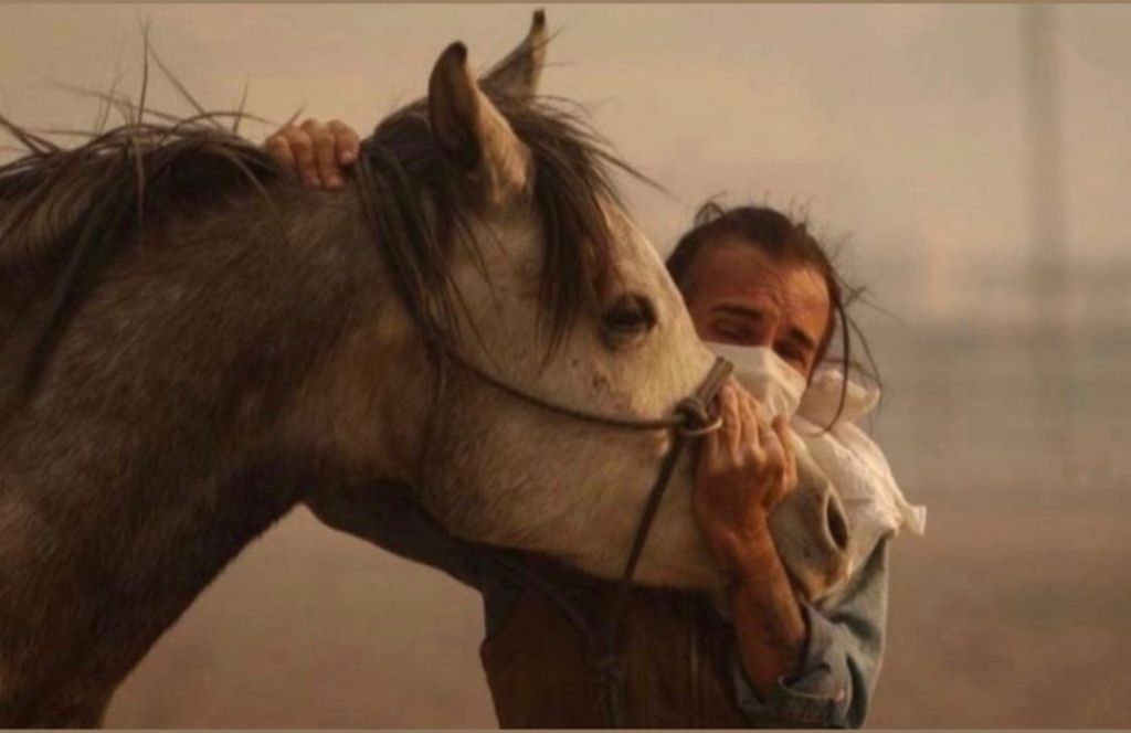 Φωτιά στη Βαρυμπόμπη – Τεράστια κινητοποίηση για τη διάσωση των ζώων