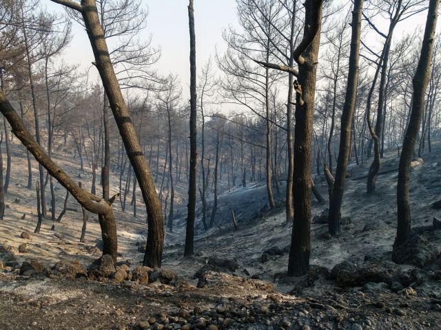 Υπό έλεγχο τέθηκε η φωτιά στη Ρόδο | tovima.gr