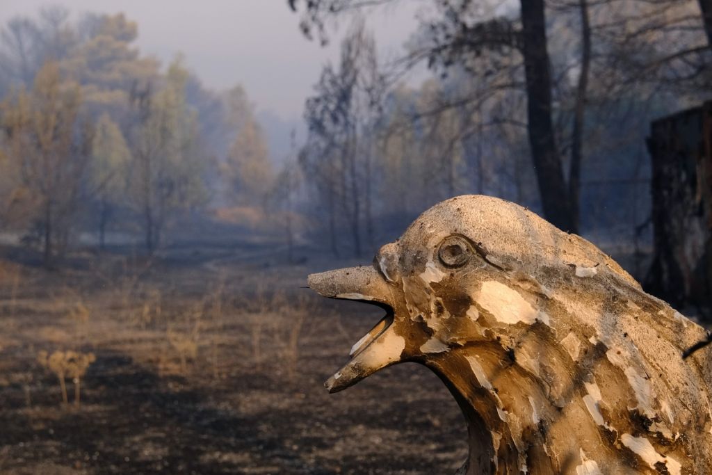 Οταν μια χώρα δεν μαθαίνει από τις εθνικές τραγωδίες είναι άξια της μοίρας της