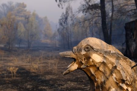 Οταν μια χώρα δεν μαθαίνει από τις εθνικές τραγωδίες είναι άξια της μοίρας της