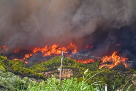 Χαρδαλιάς – Επτά πυρκαγιές ταυτόχρονα στην Ηλεία – 118 φωτιές σε ένα 24ωρο στην Ελλάδα