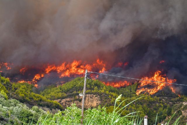 Χαρδαλιάς – Επτά πυρκαγιές ταυτόχρονα στην Ηλεία – 118 φωτιές σε ένα 24ωρο στην Ελλάδα | tovima.gr