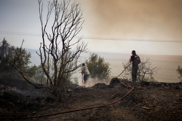 Σαρηγιάννης – Υπάρχει πρόβλεψη για 5.000 κρούσματα στα τέλη Αυγούστου – Τι είπε για τις φωτιές και την κλιματική αλλαγή | tovima.gr