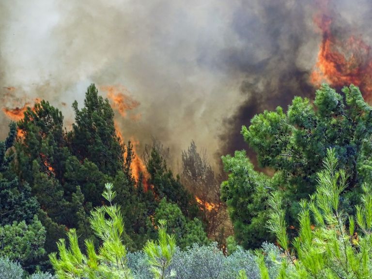 Φωτιά στην Ηλεία – Σε εξέλιξη δύο μεγάλα πύρινα μέτωπα στις περιοχές Χελιδόνι και Λάλα | tovima.gr