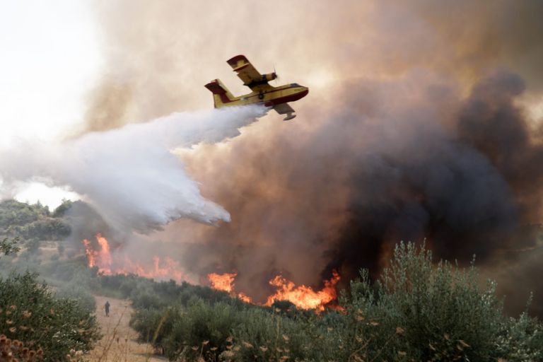 Φωτιά στην Ηλεία – Εντοπίστηκε ύποπτος για εμπρησμό | tovima.gr