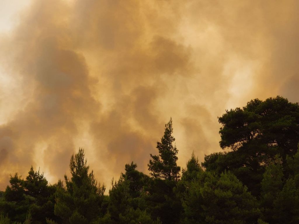 Φωτιά στη Βαρυμπόμπη – Το in.gr στο πύρινο μέτωπο