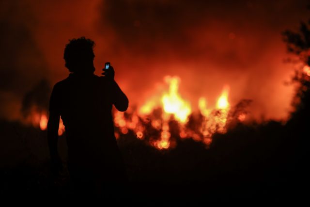 Φωτιά Ηλεία – Στις φλόγες παραδίνονται περιουσίες – Καταγγελία για οργανωμένο σχέδιο εμπρησμού | tovima.gr